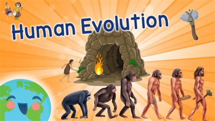 What did humans develop from?