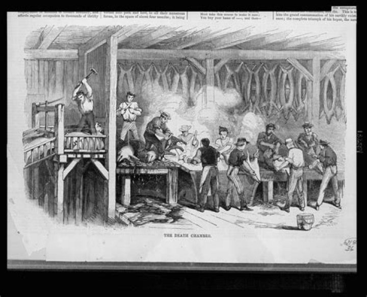 What did the Slaughterhouse Cases do for American businesses?
