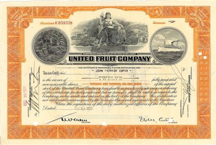 What did the United Fruit Company control?