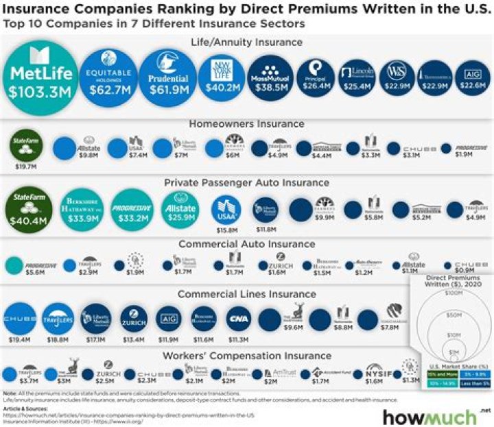 What do insurance companies check for life insurance?