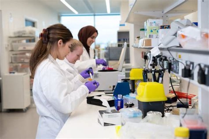 What do scientists study bacteria?