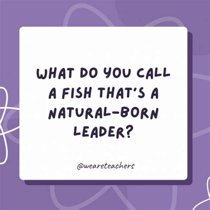 What do you call a business man?