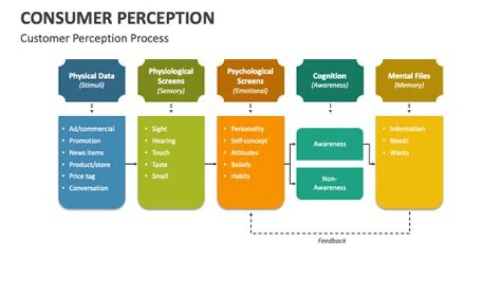 What do you mean by perception in consumer Behaviour?