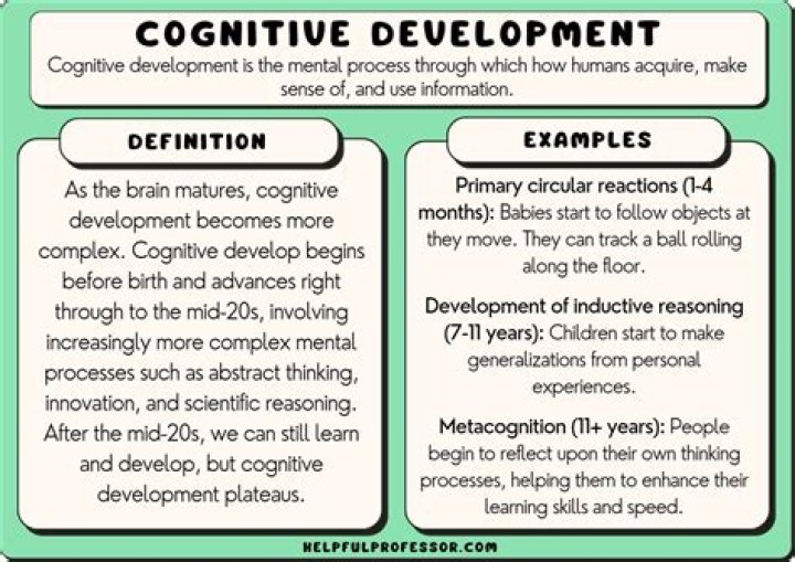 What do you mean by self development?