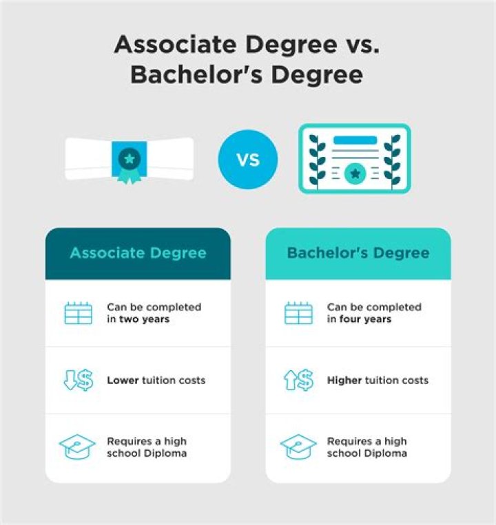 What does associate vice president mean?