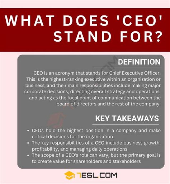 What does CEO abbreviation stand for?