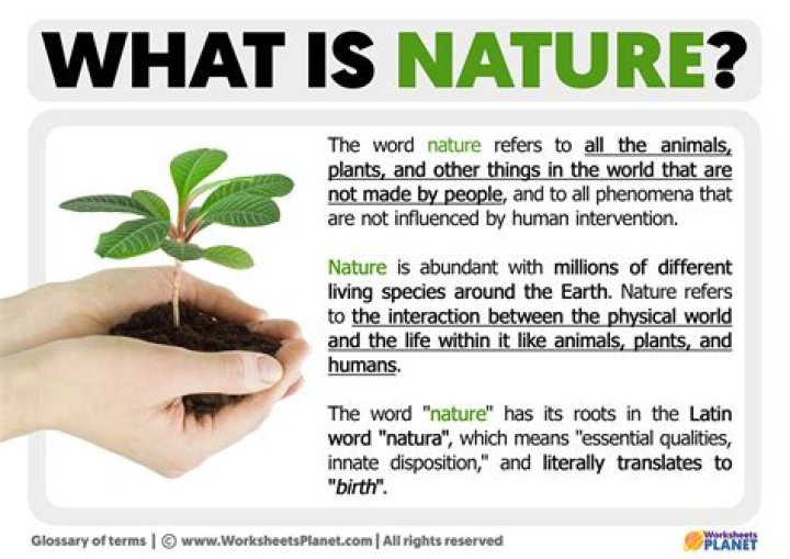 What does digital nature mean?