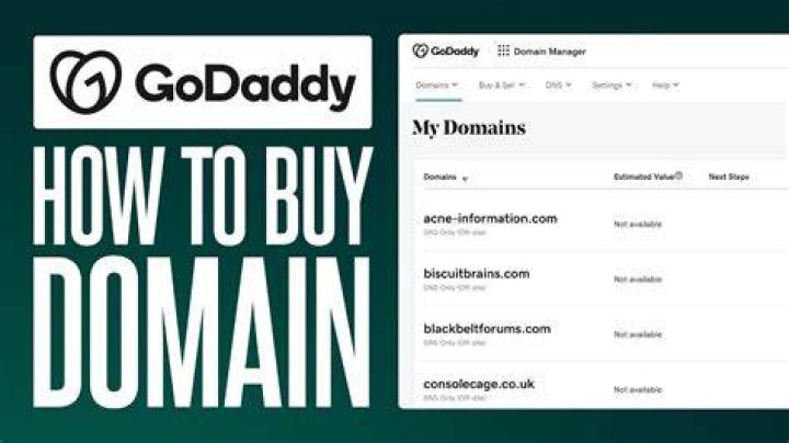 What does GoDaddy have to do with domain names?