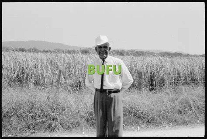 What does Mr BUFU mean?