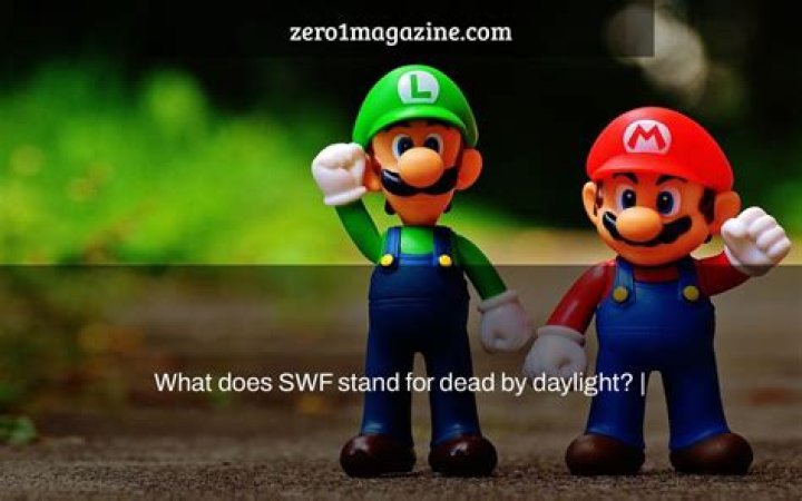 What does SWF stand for?