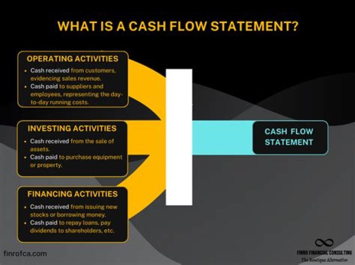 What does the cash flow statement reveal?