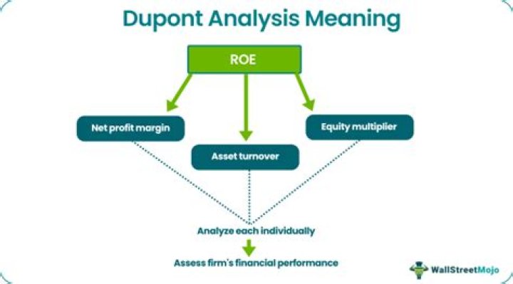 What does the DuPont analysis tell you?