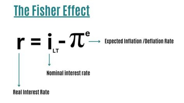What does the Fisher effect tell us?