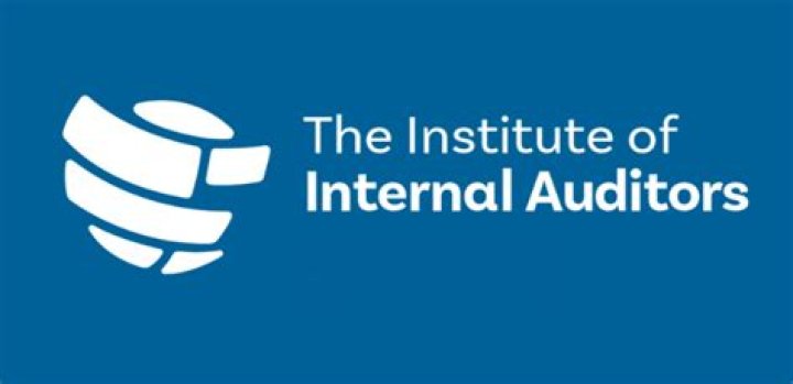 What does The Institute of Internal Auditors do?