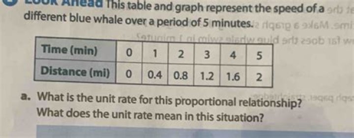What does the unit rate mean?