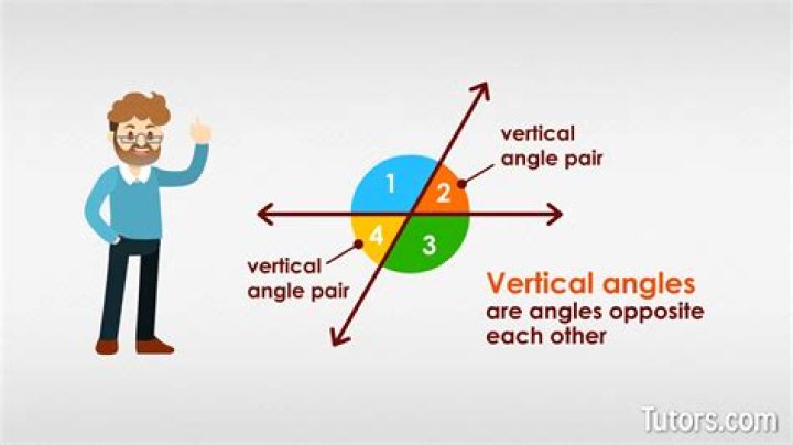 What does vertical analysis try to reveal?