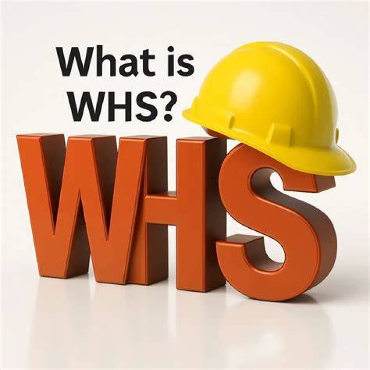 What does WHS Stanf for?
