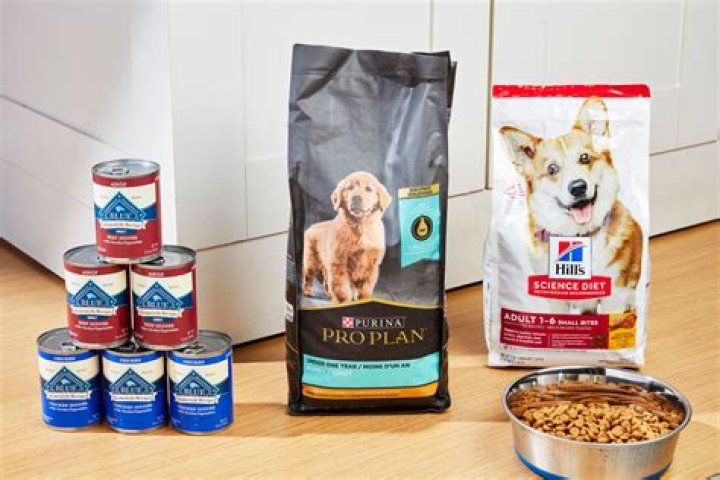 What dog food has no products from China?