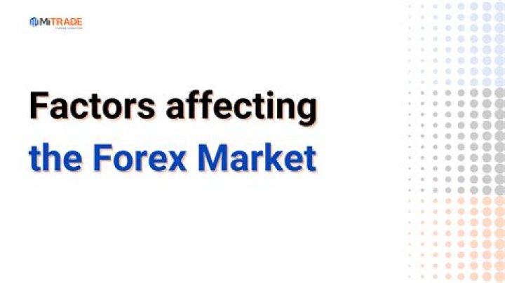 What factors affect the forex market?