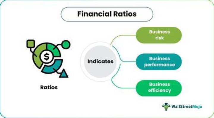 What financial ratios are percentages?