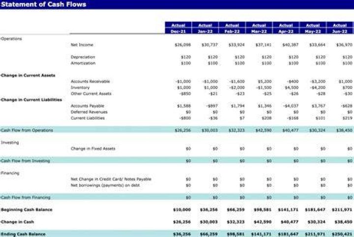 What goes on a cash flow statement?