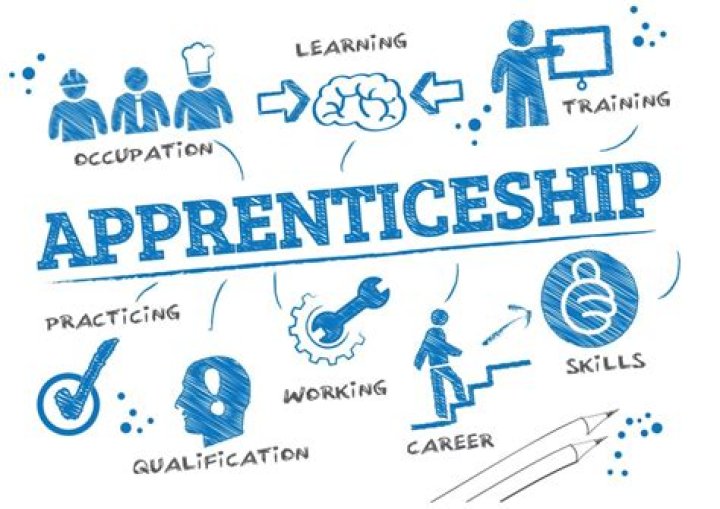 What is a Apprenticeship simple definition?