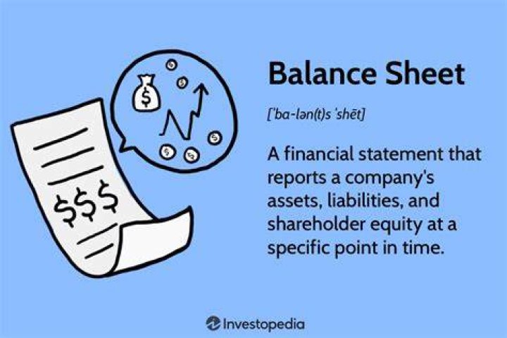 What is a balance sheet used for?
