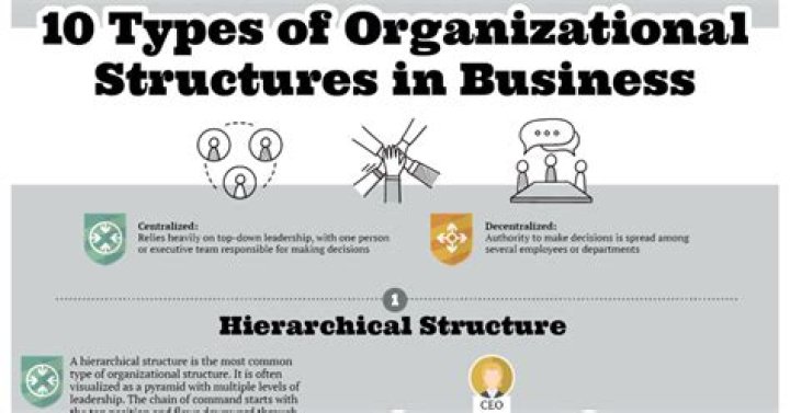 What is a business organization?