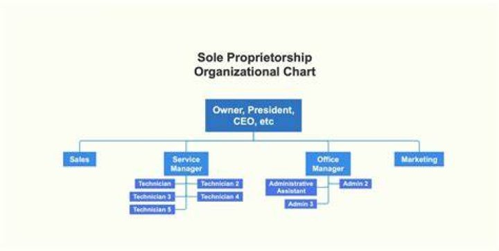 What is a business with only one owner called?