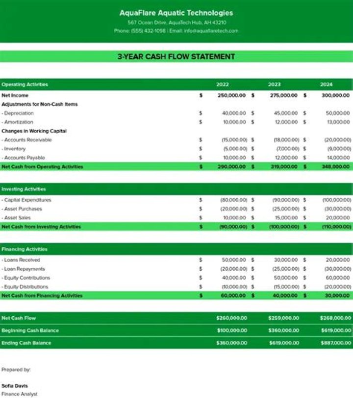 What is a cash flow statement for a business?