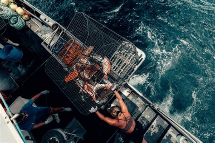 What is a fishing job called?