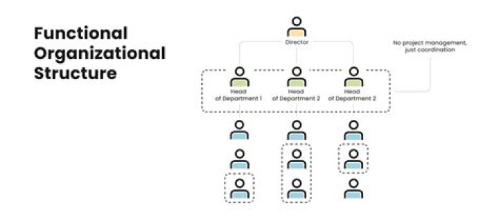 What is a functional group in an organization?