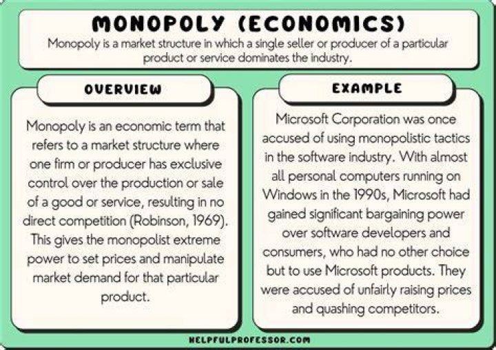 What is a government monopoly in the US?
