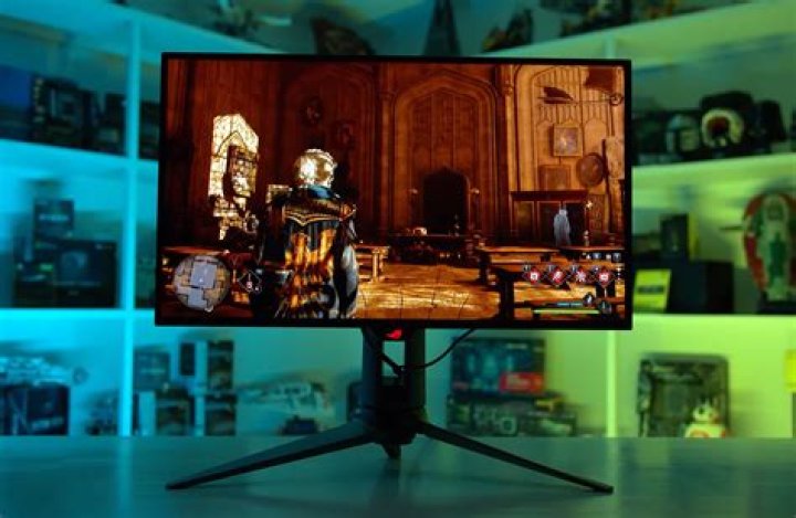 What is a hg monitor?