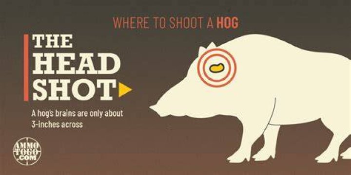 What is a hog head on a vehicle?
