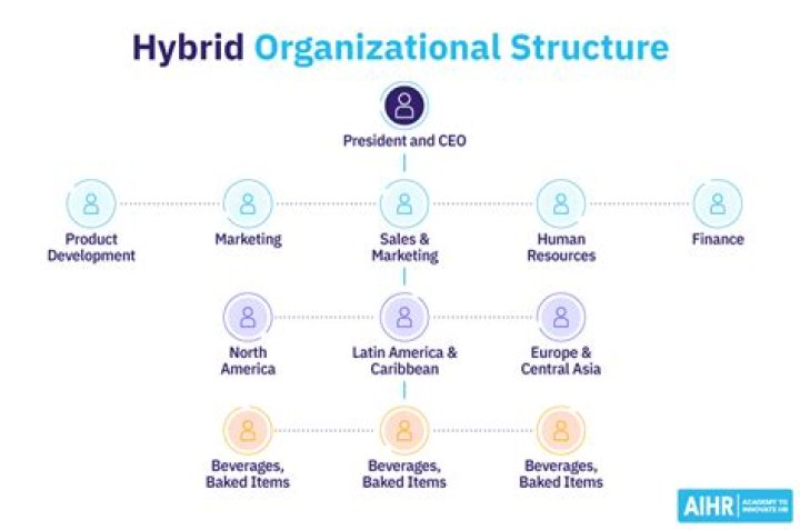 What is a hybrid business?