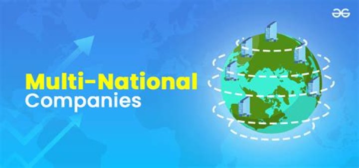 What is a large multinational company?