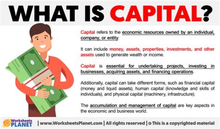 What is a loan capital in finance?