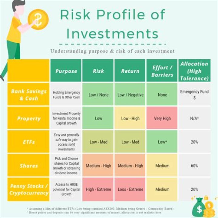 What is a low risk investor?