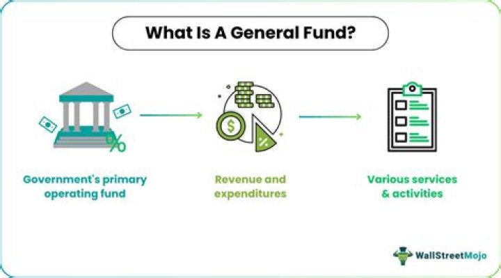 What is a non general fund revenue?