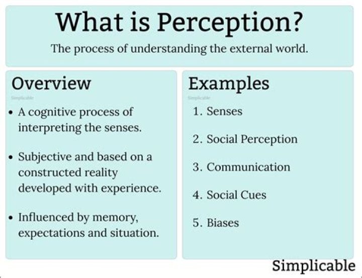 What is a perception barrier?