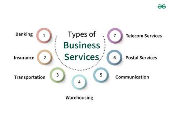 What is a service concern type of business give examples?