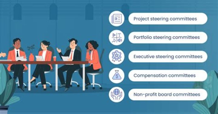 What is a Steering Committee in healthcare?