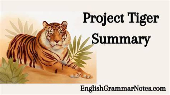 What is a Tiger summary?