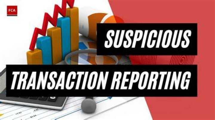 What is a transaction report used for?