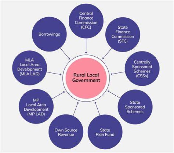 What is accounting for local government?