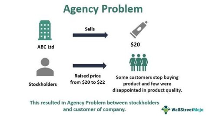 What is agency problem quizlet?