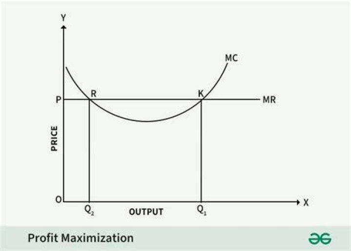 What is also known as value maximization?