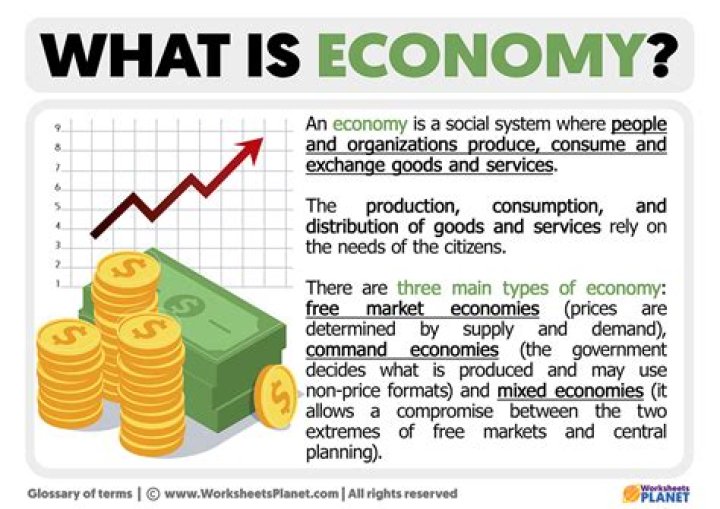 What is an economy business definition?