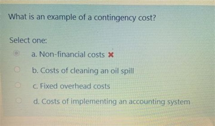 What is an example of a contingency cost?
